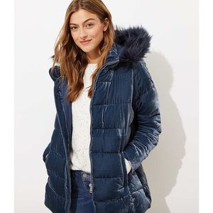 Loft Crushed velvet winter jacket